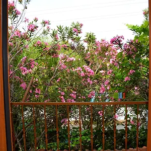 Poseidon Dalyan